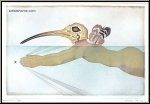 Michel Lablais: Etching Swimming Birdman 