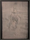 Paul Wunderlich: Fossilized Pineapple, Lithograph 1972, signed